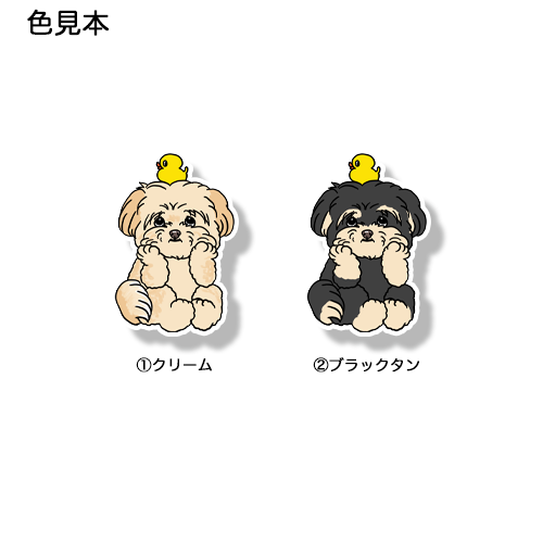 タイクツなポメプーちゃん。103-15