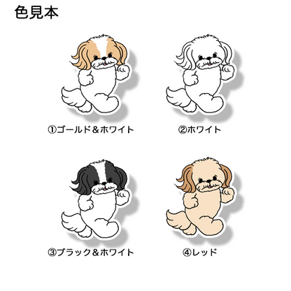 走るマルシーズーちゃん。108-4