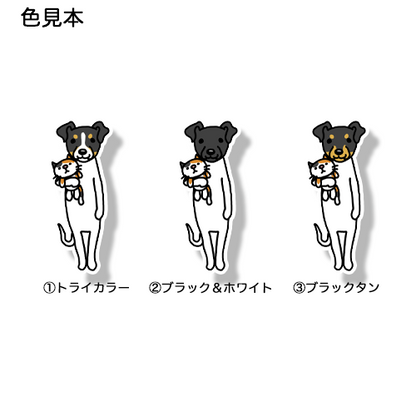 おりこうさんでお留守番してるニホンテリアちゃん。71-4