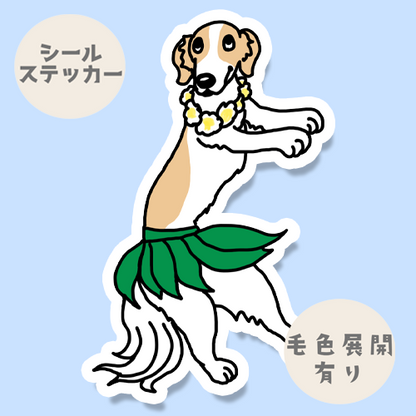フラボルゾイさん。105-4