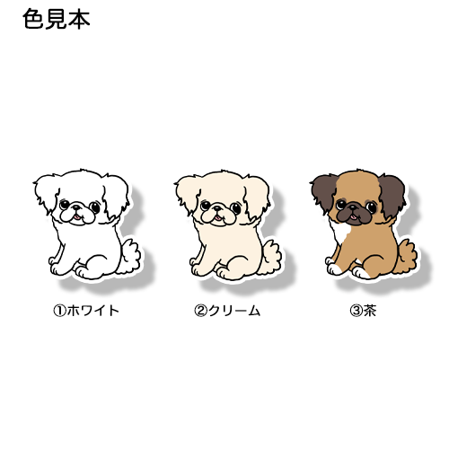 おすわりしてるチワペキちゃん。62-15