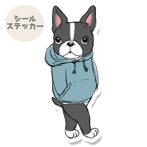 ちょっとそこまで出かけるボストンテリアちゃん。101-30