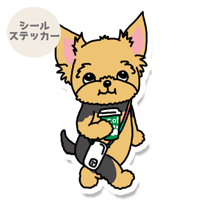 ヨーキーちゃんのお天気の日のお散歩。114-10