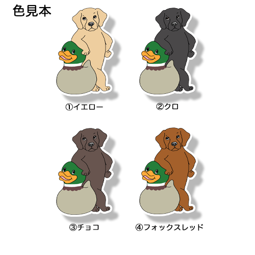 お気に入りのカモを見つけたラブラドールちゃん。117-4