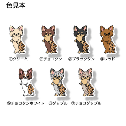 お気に入りのクマちゃんとチワックスちゃん。60-4