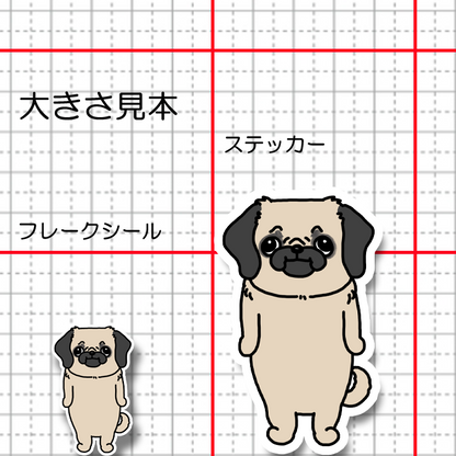 こっち見てるパグペキちゃん。182-4