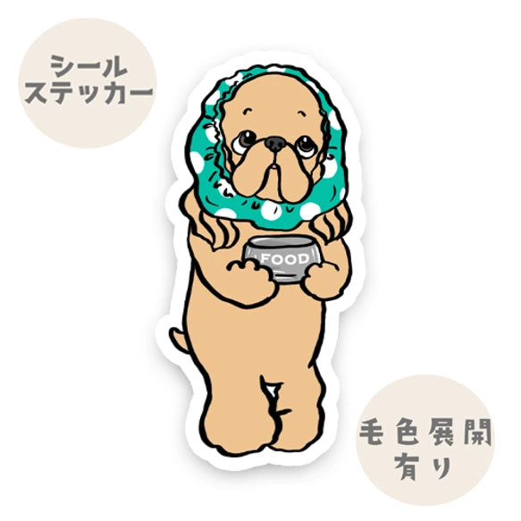 ごはんの時間じゃない～？って言ってるアメコカちゃん。5-10