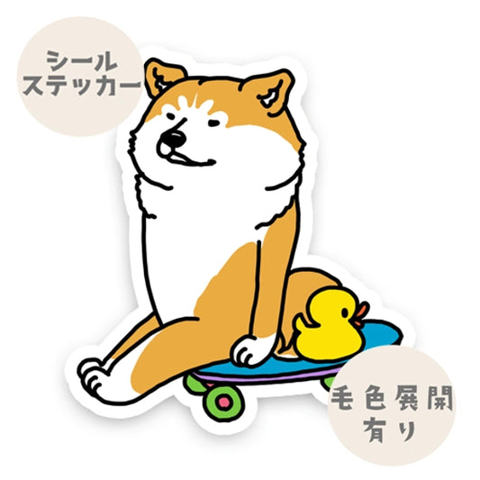 誰か来ないかなーって待ってるアキタイヌさん。3-5
