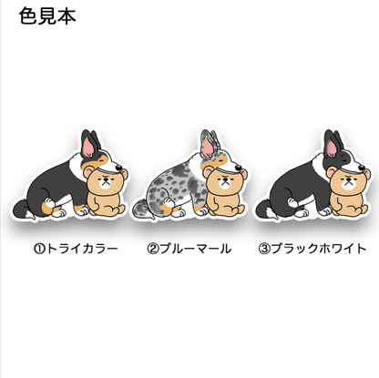 首が疲れたカーディガンちゃん。16-8