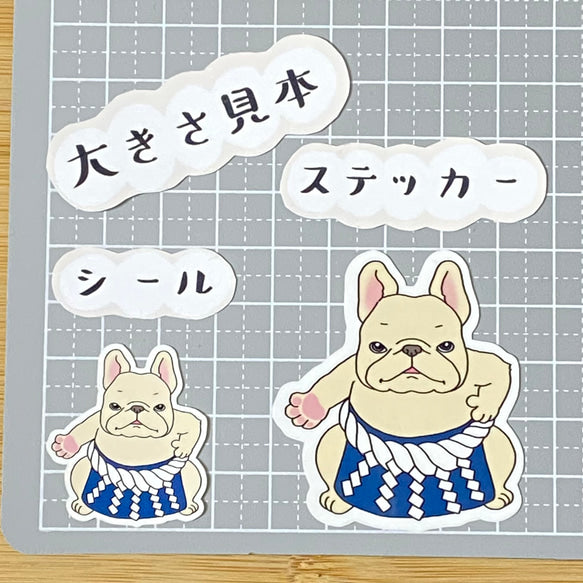 ヨコヅナフレブルちゃん。96−138