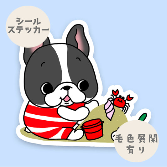 砂浜で遊ぶフレブルちゃん。96−152