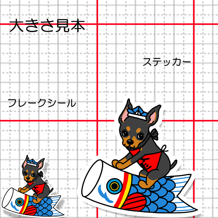 端午の節句のミニピンちゃん。113-22
