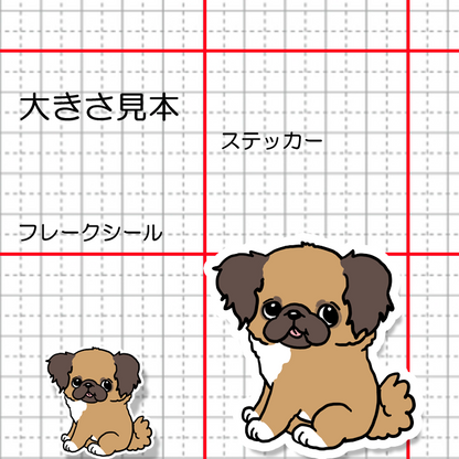 おすわりしてるチワペキちゃん。62-15