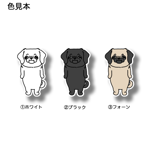 こっち見てるパグペキちゃん。182-4