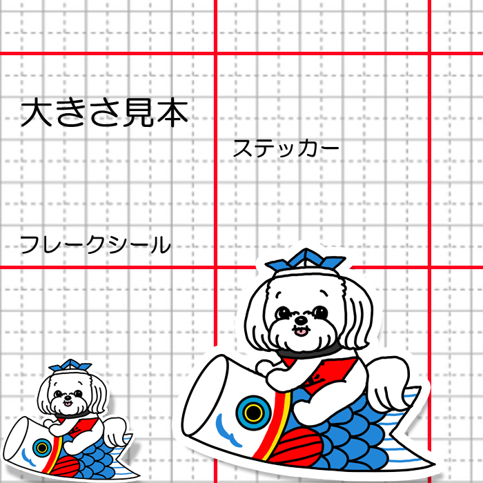 端午の節句のマルチーズちゃん。109-27