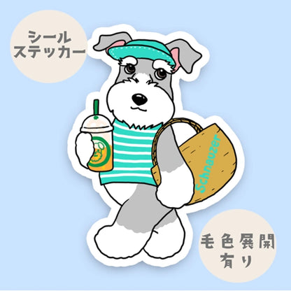 夏のお買い物のシュナウザーちゃん。44-7