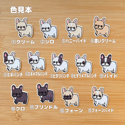 待ってるけど、追いつくと走っていっちゃうフレブルちゃん。96−393