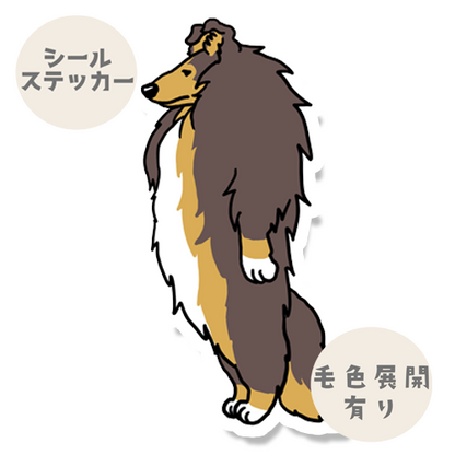 立ってるだけで名犬のラフコリーさん。116-5