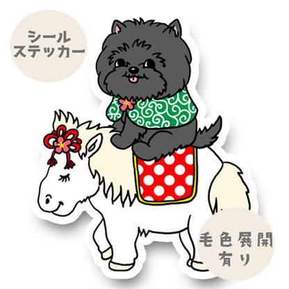 午年のケアーンテリアちゃん。29-7