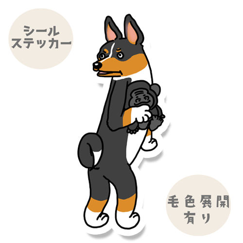 気づいたバセンジーさん。78-7
