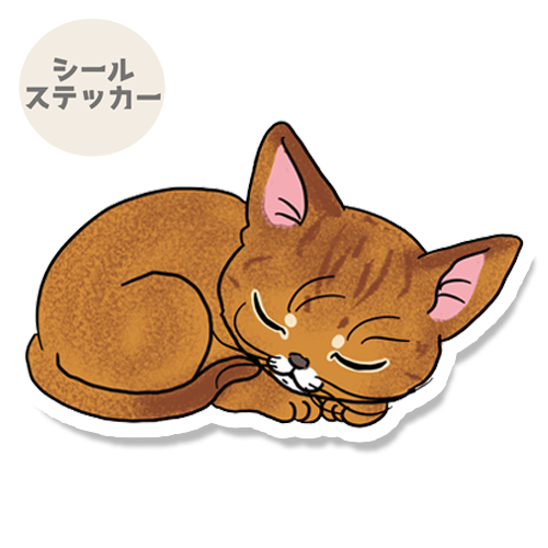 ひなたぼっこでお昼寝アビシニアンちゃん。164-6