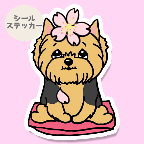 ヨーキーちゃんの春のご挨拶。114-19