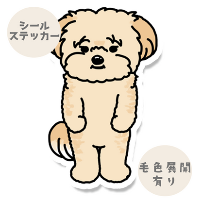 たたずむポメプーちゃん。103-16