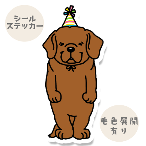 お祝いのラブラドールさん。117-28