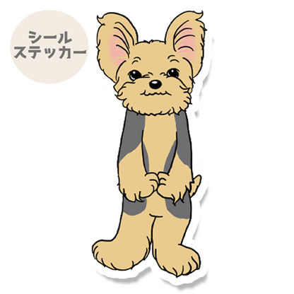 あのねーって言ってるヨーキーちゃん。114-28