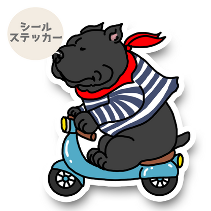バイクで走るカネコルソさん。23-7