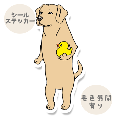 ダック持ってるラブラドールちゃん。117-5