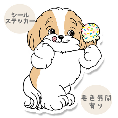アイスクリーム大好きマルシーズーちゃん。108-5