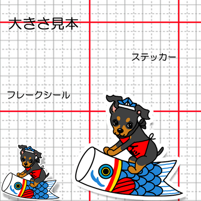 端午の節句のミニピンちゃん。113-22