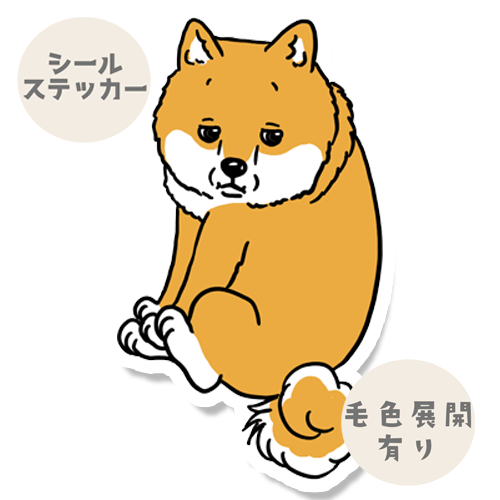 ちまっと抱っこのシバちゃん。39-22