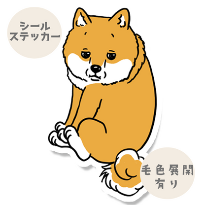 ちまっと抱っこのシバちゃん。39-22