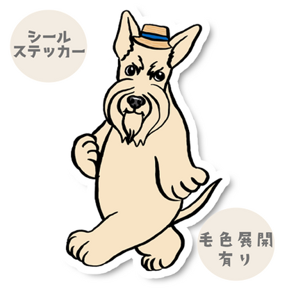 スコティッシュテリアさんの夏のお散歩。46-5