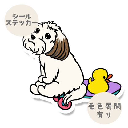 誰かと遊べるのを待ってるマルックスちゃん。110-5