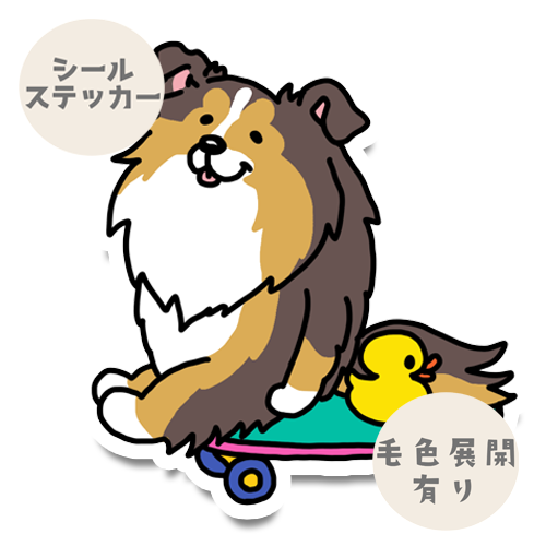 誰か来ないかなーって待ってるシェルティちゃん。38-13