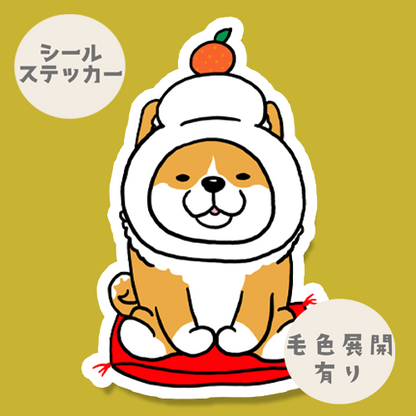 鏡餅シバちゃん。39-30