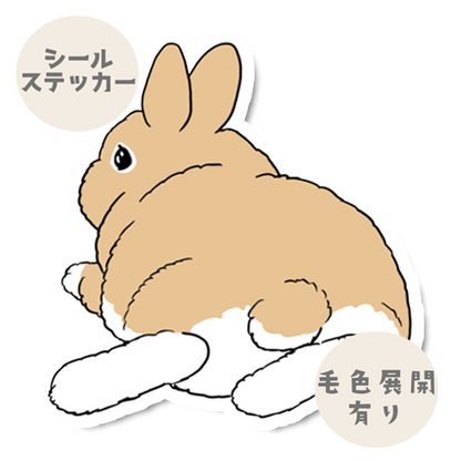 くつろぐネザーランドドワーフちゃん。185-5