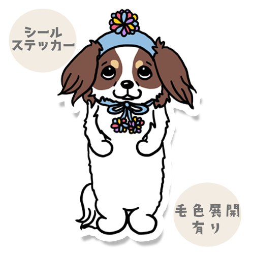ポンポン帽子のチワックスちゃん。60-5