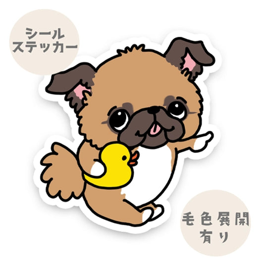 あっちで遊びたいチワペキちゃん。62-7