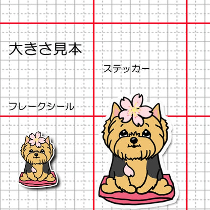 ヨーキーちゃんの春のご挨拶。114-19