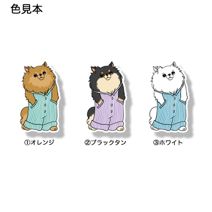 オーバーオールのポメチワちゃん。102-5