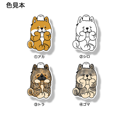 タイクツな北海道犬さん。131-5