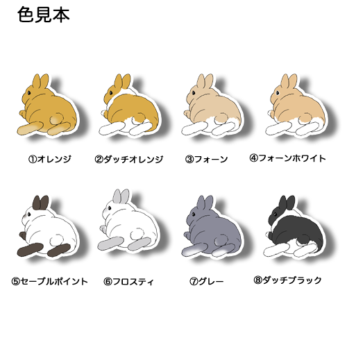 くつろぐネザーランドドワーフちゃん。185-5