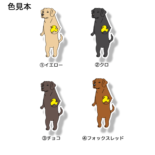 ダック持ってるラブラドールちゃん。117-5