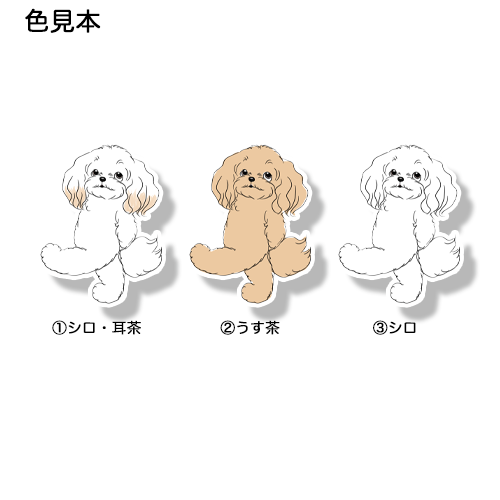 何しようかなーって考えてるマルプーちゃん。111-9