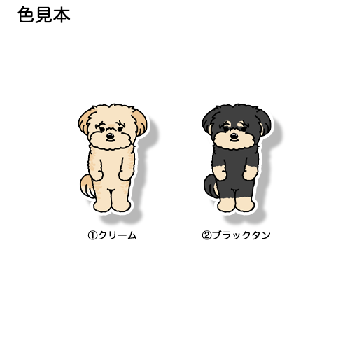 たたずむポメプーちゃん。103-16