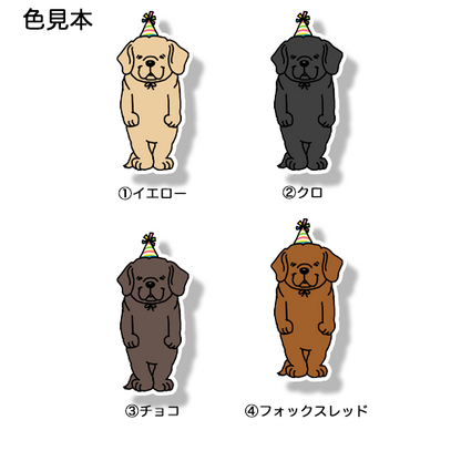 お祝いのラブラドールさん。117-28